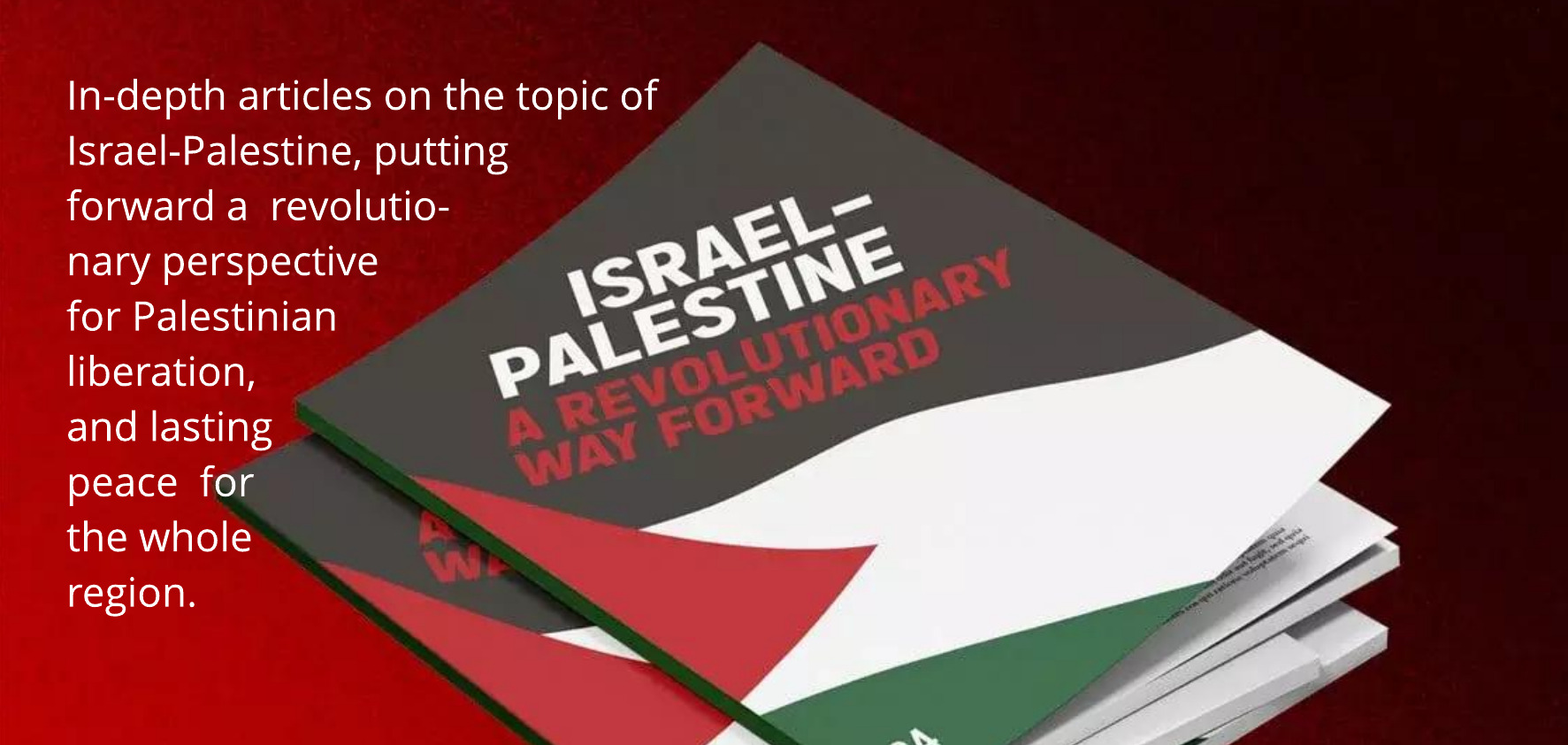 free-palestine-booklet